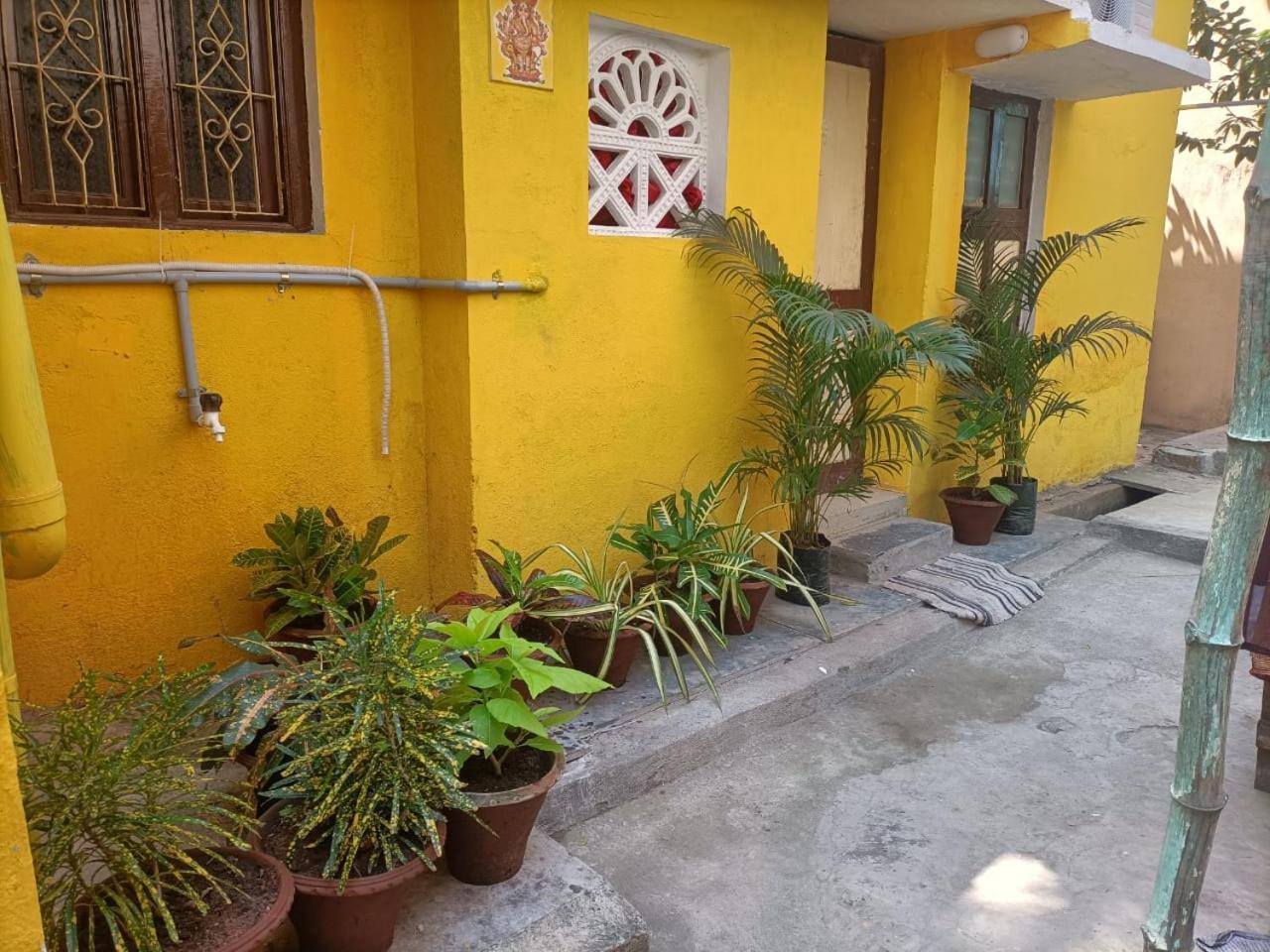 Nks Homestay 蓬蒂切里 外观 照片